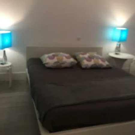 Le Jardin Darcy Liberte Hyper Centre Gare-ville Parking Public Payant Dans La Rue Apartment