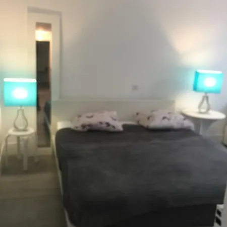 Apartamento Le Jardin Darcy Liberté Hyper Centre Gare-ville Parking Public Payant Dans La Rue *