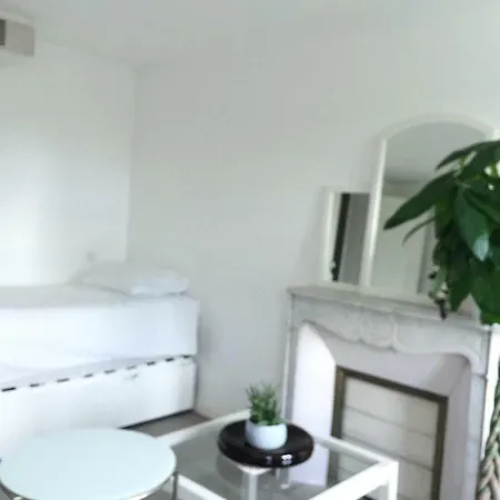 Appartement Le Jardin Darcy Liberté Hyper Centre Gare-ville Parking Public Payant Dans La Rue Dijon