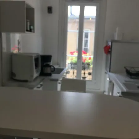 Apartment Le Jardin Darcy Liberte Hyper Centre Gare-ville Parking Public Payant Dans La Rue *