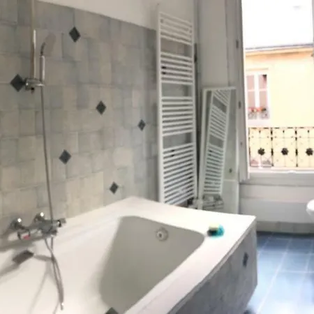 Appartement Le Jardin Darcy Liberté Hyper Centre Gare-ville Parking Public Payant Dans La Rue *