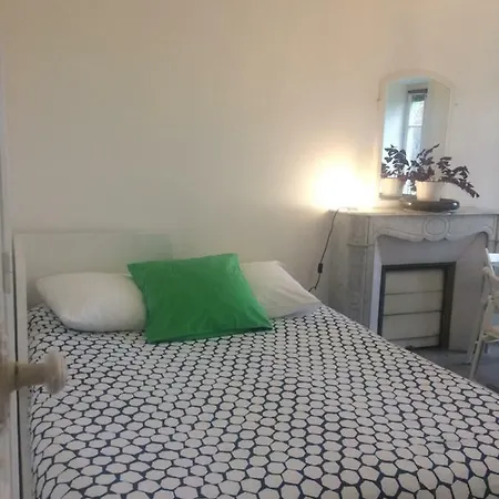 Apartment Le Jardin Darcy Liberte Hyper Centre Gare-ville Parking Public Payant Dans La Rue *