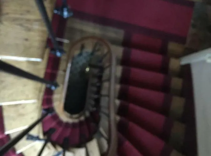 アパート Le Jardin Darcy Liberte Hyper Centre Gare-ville Parking Public Payant Dans La Rue *