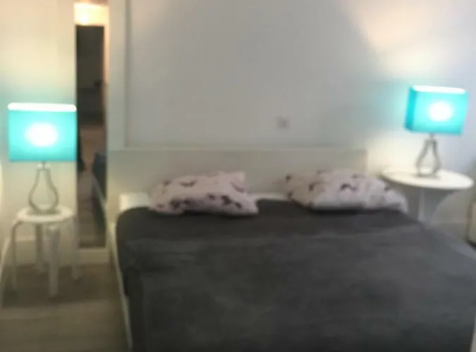 Apartment Le Jardin Darcy Liberte Hyper Centre Gare-ville Parking Public Payant Dans La Rue *