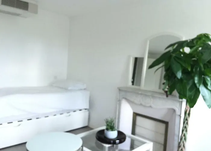 アパート Le Jardin Darcy Liberte Hyper Centre Gare-ville Parking Public Payant Dans La Rue ディジョン