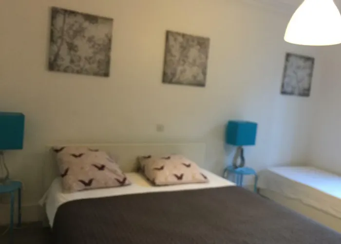 Le Jardin Darcy Liberte Hyper Centre Gare-ville Parking Public Payant Dans La Rue 第戎