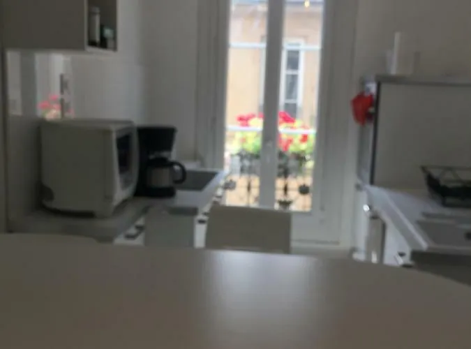 Apartment Le Jardin Darcy Liberte Hyper Centre Gare-ville Parking Public Payant Dans La Rue *