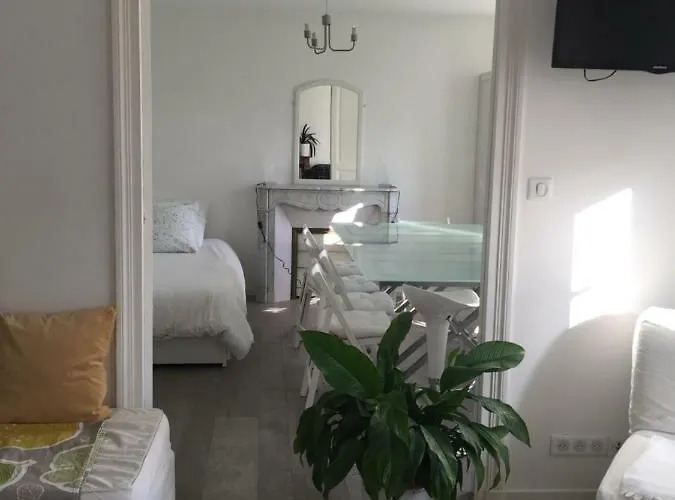 Le Jardin Darcy Liberte Hyper Centre Gare-ville Parking Public Payant Dans La Rue * ディジョン