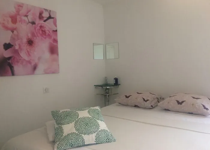 Le Jardin Darcy Liberte Hyper Centre Gare-ville Parking Public Payant Dans La Rue ディジョン