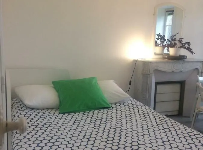 アパート Le Jardin Darcy Liberte Hyper Centre Gare-ville Parking Public Payant Dans La Rue *