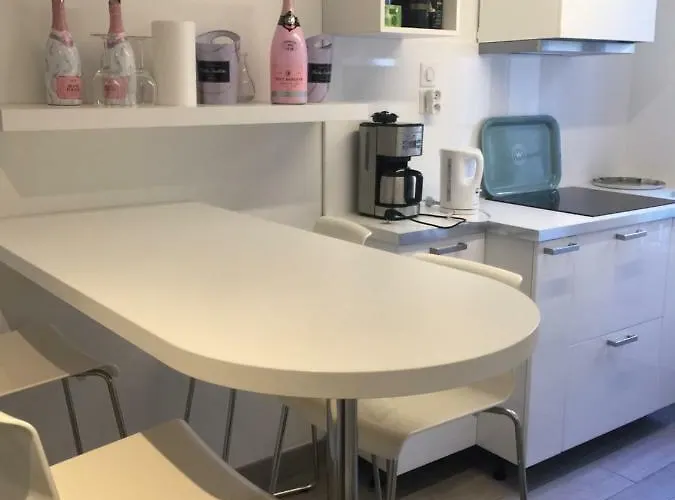 Le Jardin Darcy Liberte Hyper Centre Gare-ville Parking Public Payant Dans La Rue *